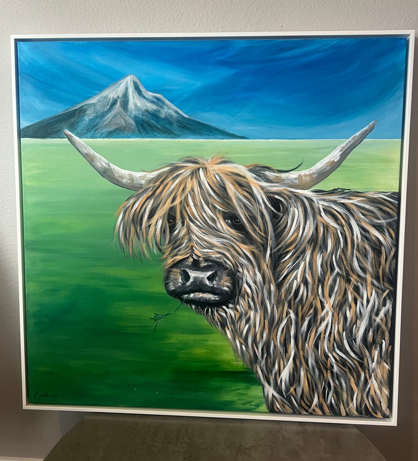 Chill Cow (36" x 36") — Highland Calm